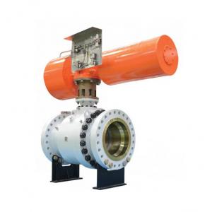 Metal Seated Trunnion-Mounted Ball Valve